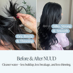 NO1 Replacement Filters